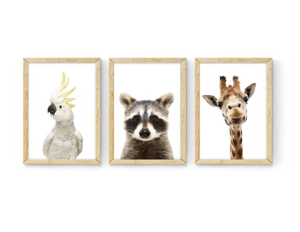 ⁦תמונות לחדר ילדים Peek-a-boo animals Trio - שלושה הדפסי נייר עם או ללא מסגרות⁩ – תמונה ⁦3⁩