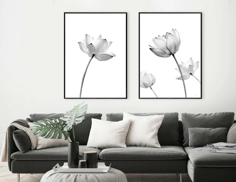 ⁦תמונות לחדר שינה Lotus Blossom Duo - שני הדפסי נייר ללא מסגרת בפורמט מלבני בגווני שחור לבן⁩ – תמונה ⁦3⁩