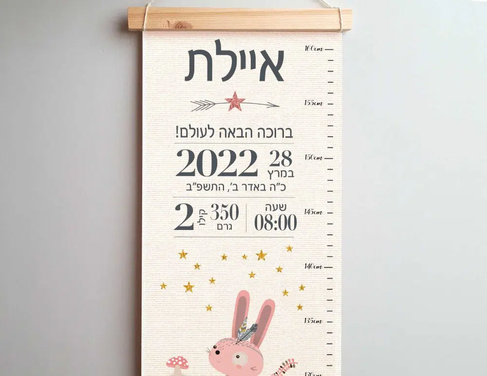 ⁦מתנת לידה Woodland Canvas Growth Chart Baby Details Pink - מד גובה בשילוב תעודת לידה על קנבס עם מסגרת עץ בגווני ורוד שמנת⁩ – תמונה ⁦2⁩
