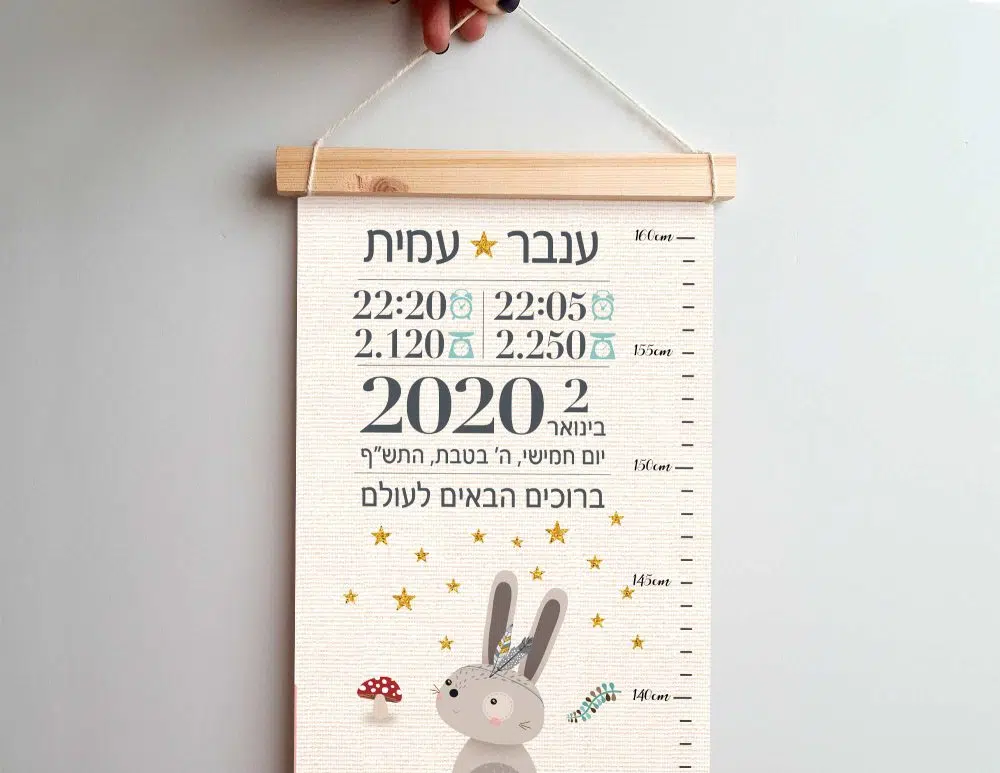 ⁦מתנת לידה Twins Canvas Growth Chart Baby Details Neutral - מד גובה בשילוב תעודת לידה על קנבס עם מסגרת עץ בגווני בז׳ מנטה כתום שמנת⁩ – תמונה ⁦2⁩