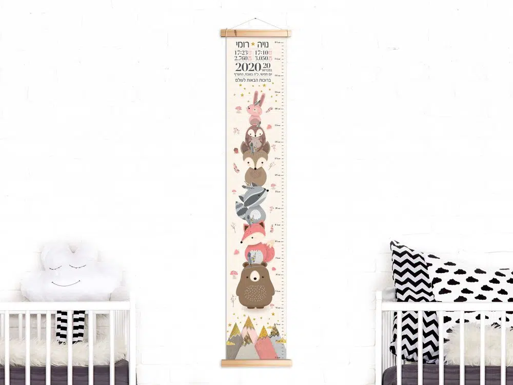 מתנת לידה Twins Canvas Growth Chart Baby Details Pink - מד גובה בשילוב תעודת לידה על קנבס עם מסגרת עץ בגווני ורוד שמנת