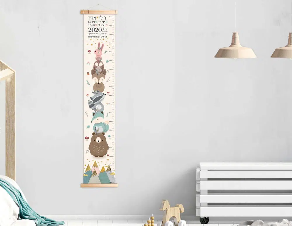 מתנת לידה Twins Canvas Growth Chart Baby Details Pink Mint - מד גובה בשילוב תעודת לידה על קנבס עם מסגרת עץ בגווני ורוד מנטה שמנת