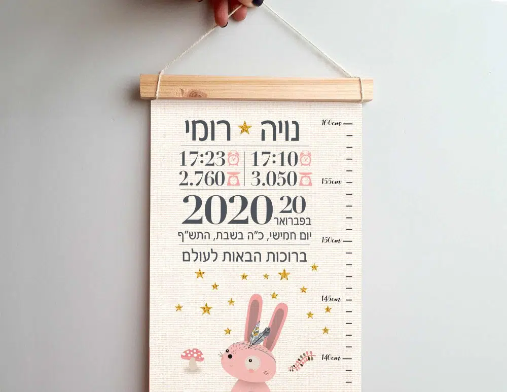 ⁦מתנת לידה Twins Canvas Growth Chart Baby Details Pink - מד גובה בשילוב תעודת לידה על קנבס עם מסגרת עץ בגווני ורוד שמנת⁩ – תמונה ⁦2⁩